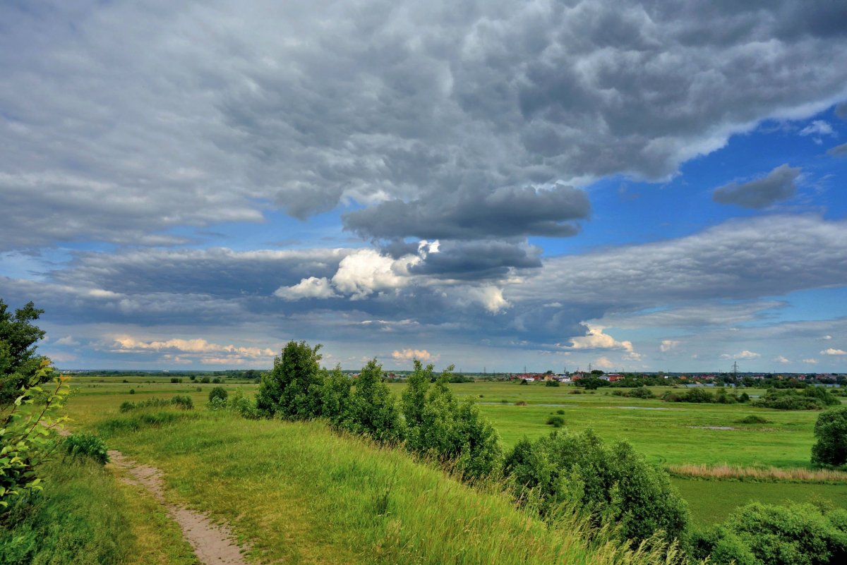 Лесостепь Украины