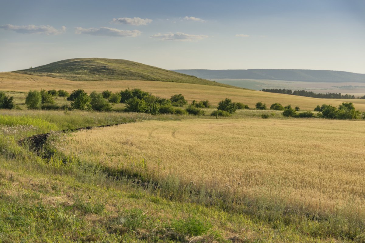 Никитинка степные холмы