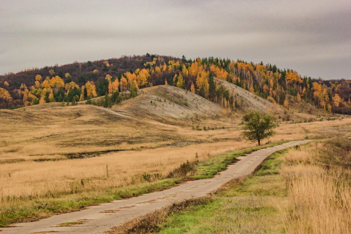 Зимина гора Новоспасский район
