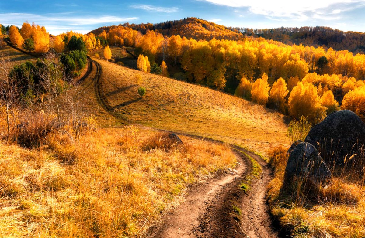 Лесостепь осень холмы река