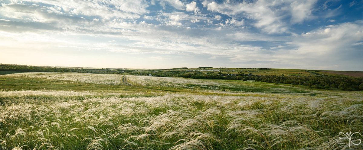 Донская Ковыльная степь