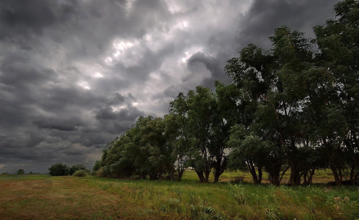 Пейзаж перед дождем