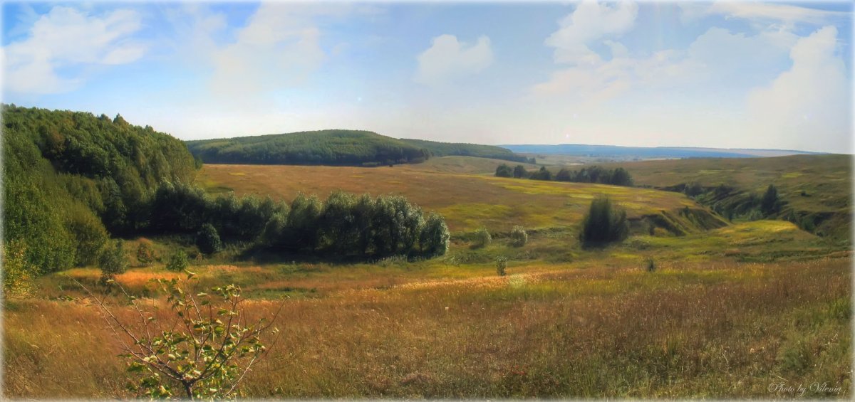 Степи Пензенской области