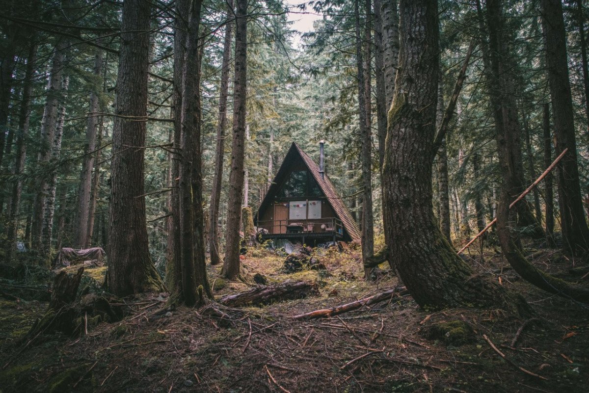 Дом в лесу