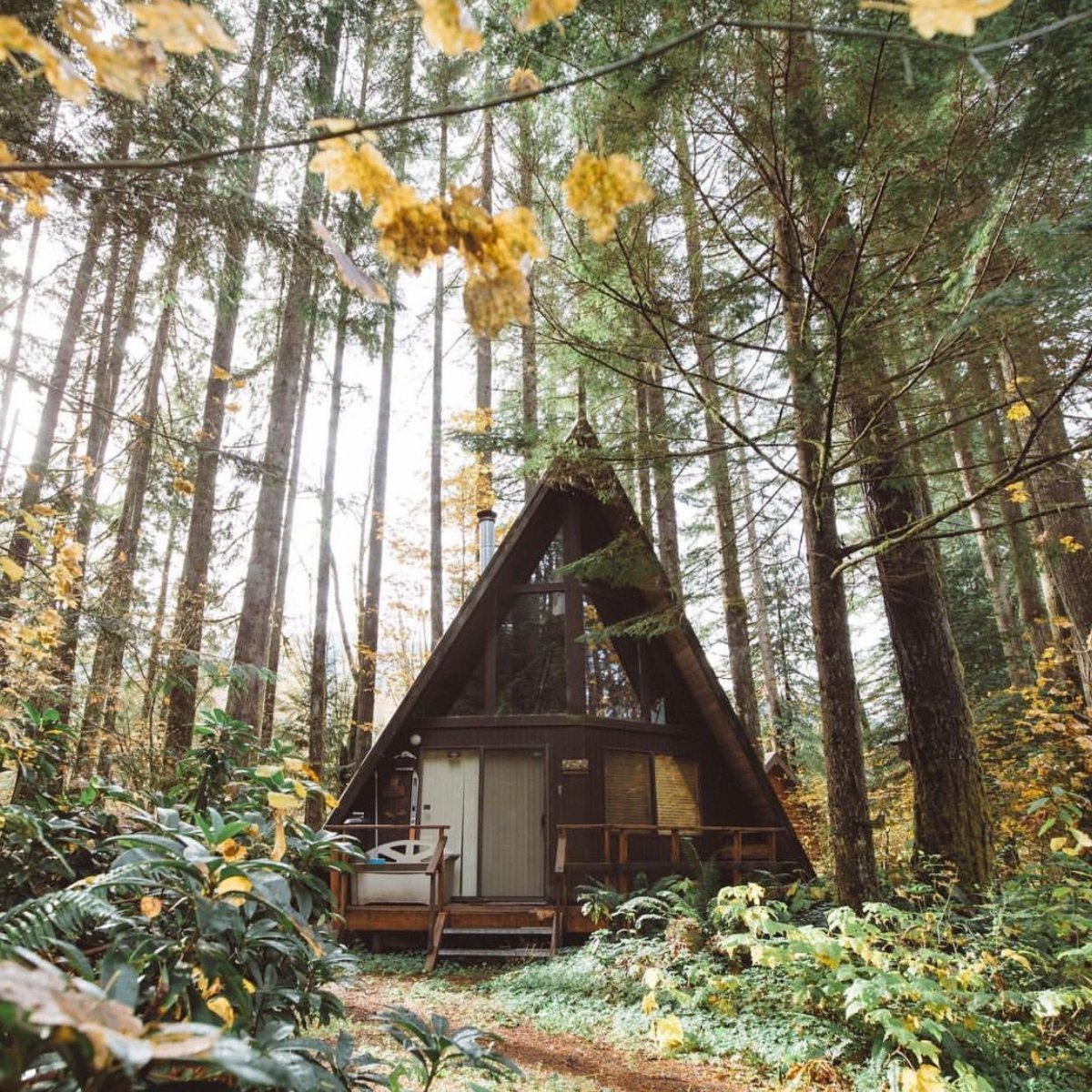 ВЕДЬМИНА Хижина в лесу