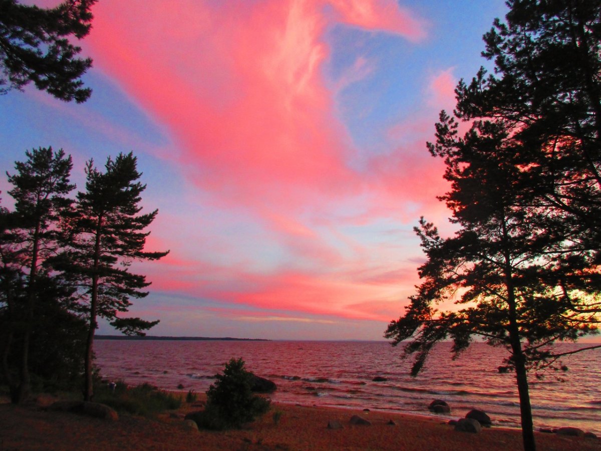 Пляж Липово Сосновый Бор