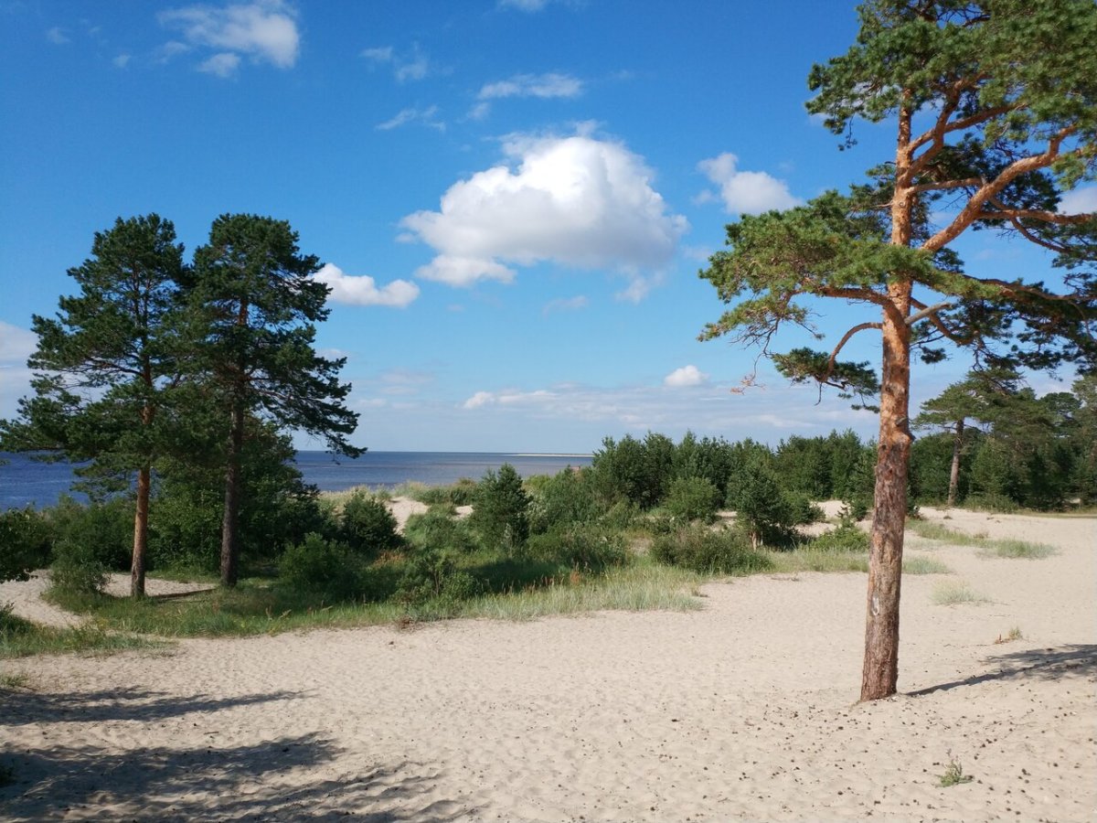 Сосновый Бор Ягры Северодвинск