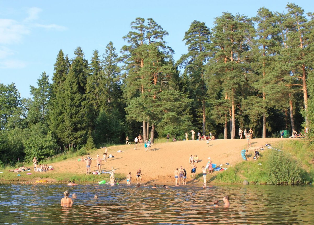 Сосновый Бор Кострома пляж