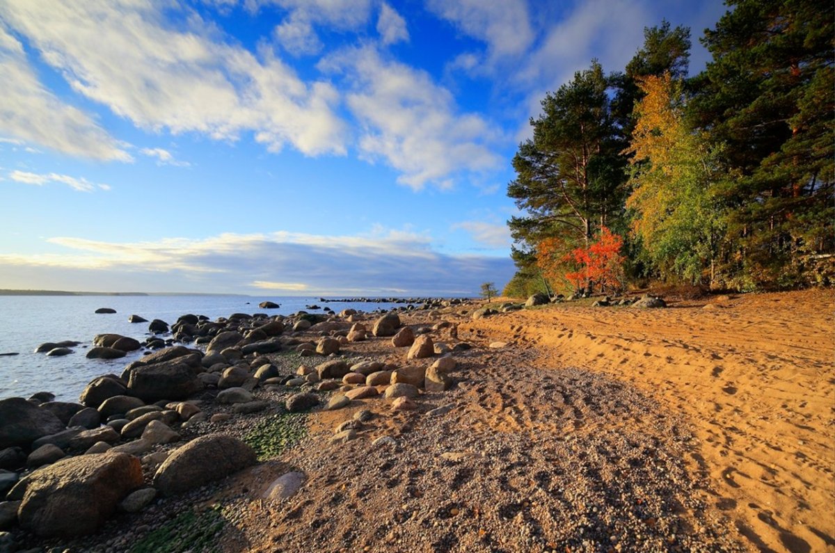 Зеленогорск берег финского залива