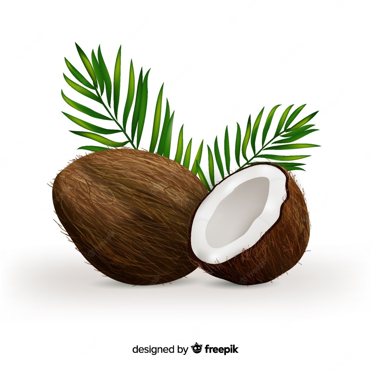 Нарисовать Кокос