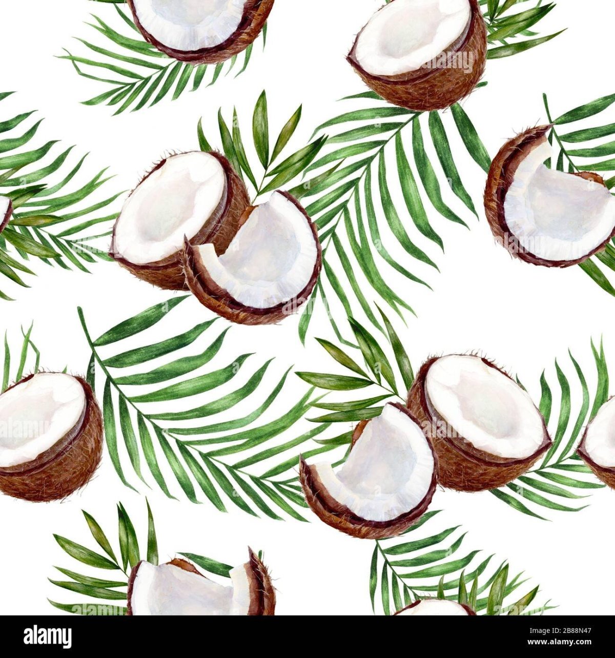 Принт Кокос