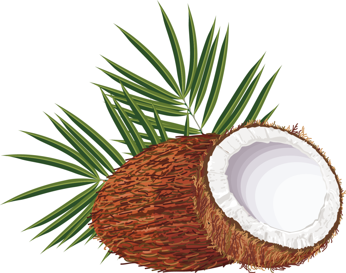 Нарисовать Кокос