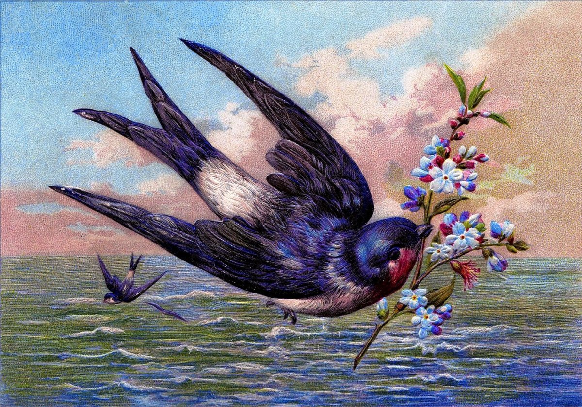 Чабалекей куш