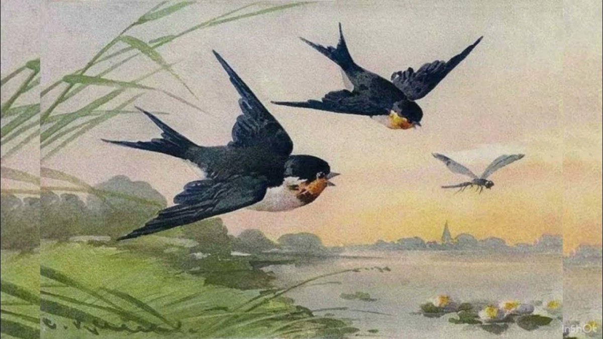 Афанасий Фет ласточки