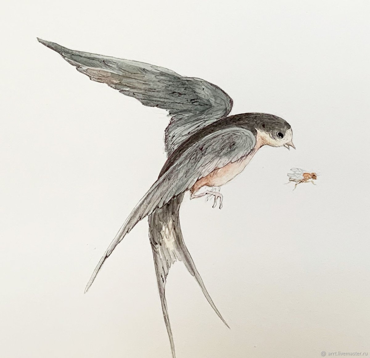 Ласточка акварель