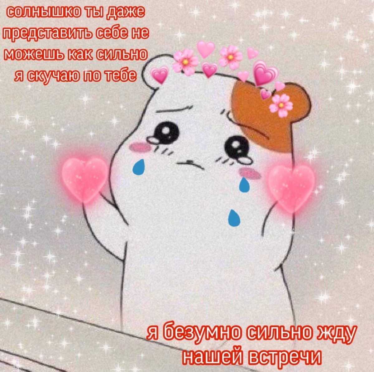 Пикчи с котиками скучаю