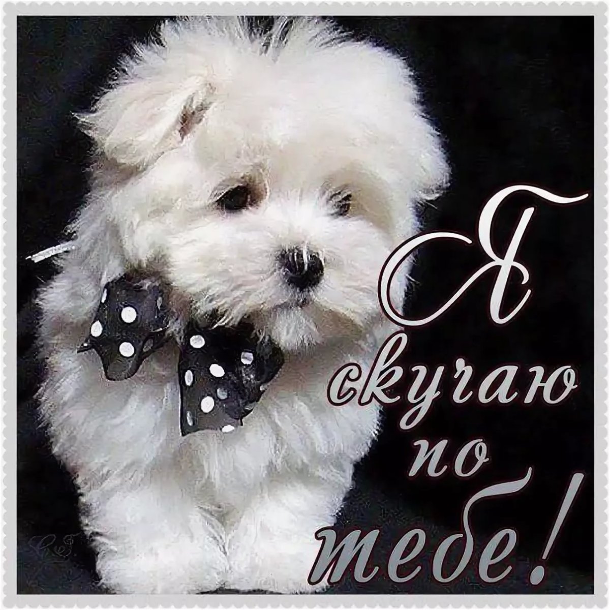 Открытка очень соскучилась