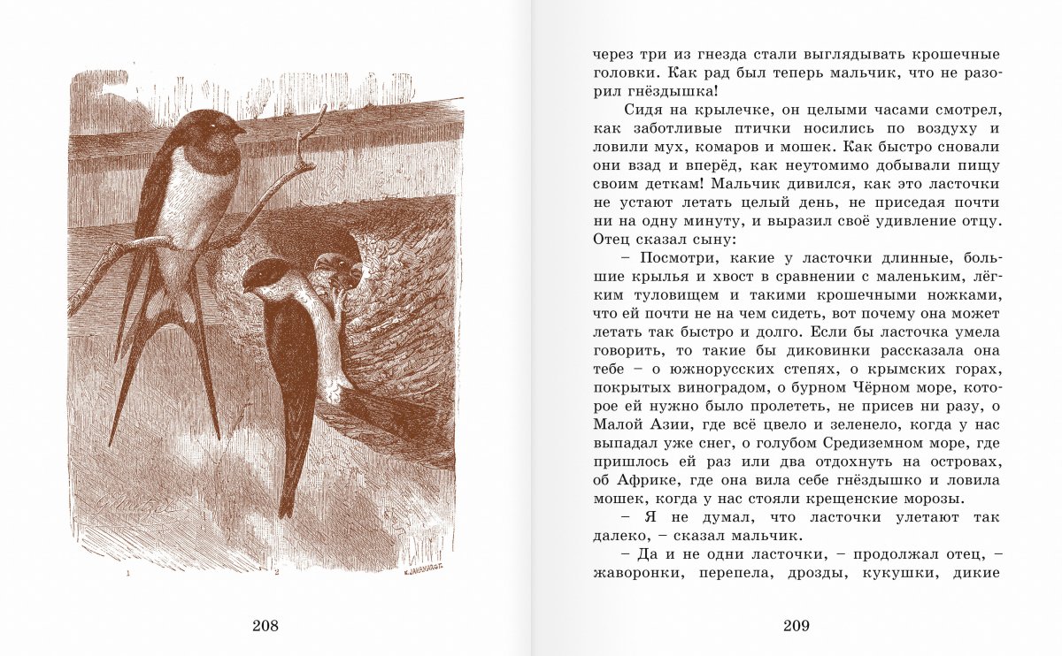 К. Д. Ушинский книга Ласточка