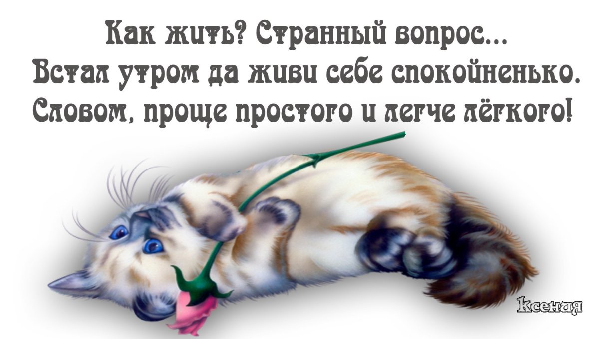 Проснулся утром и диви