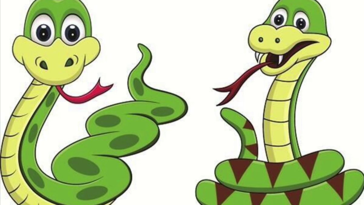 Сказочная змея на белом фоне