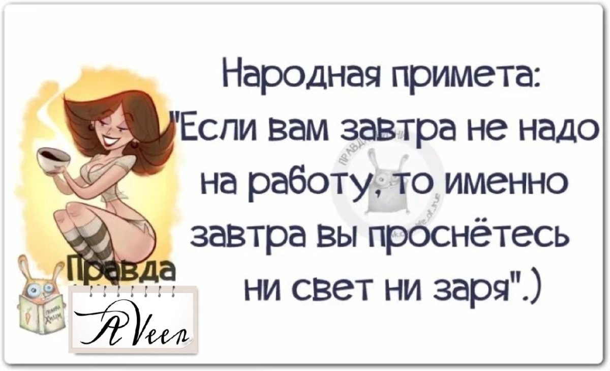 Высказывания о жизни с юмором в картинках