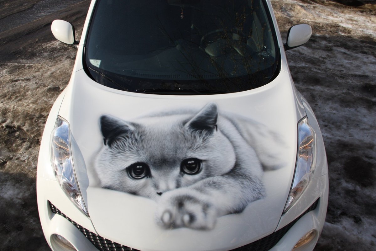 Аэрография на капоте авто