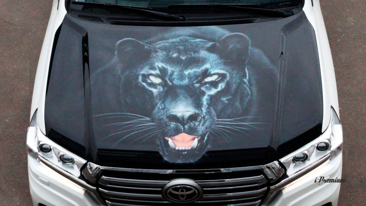 Тойота Лэнд круизер 200 аэрография