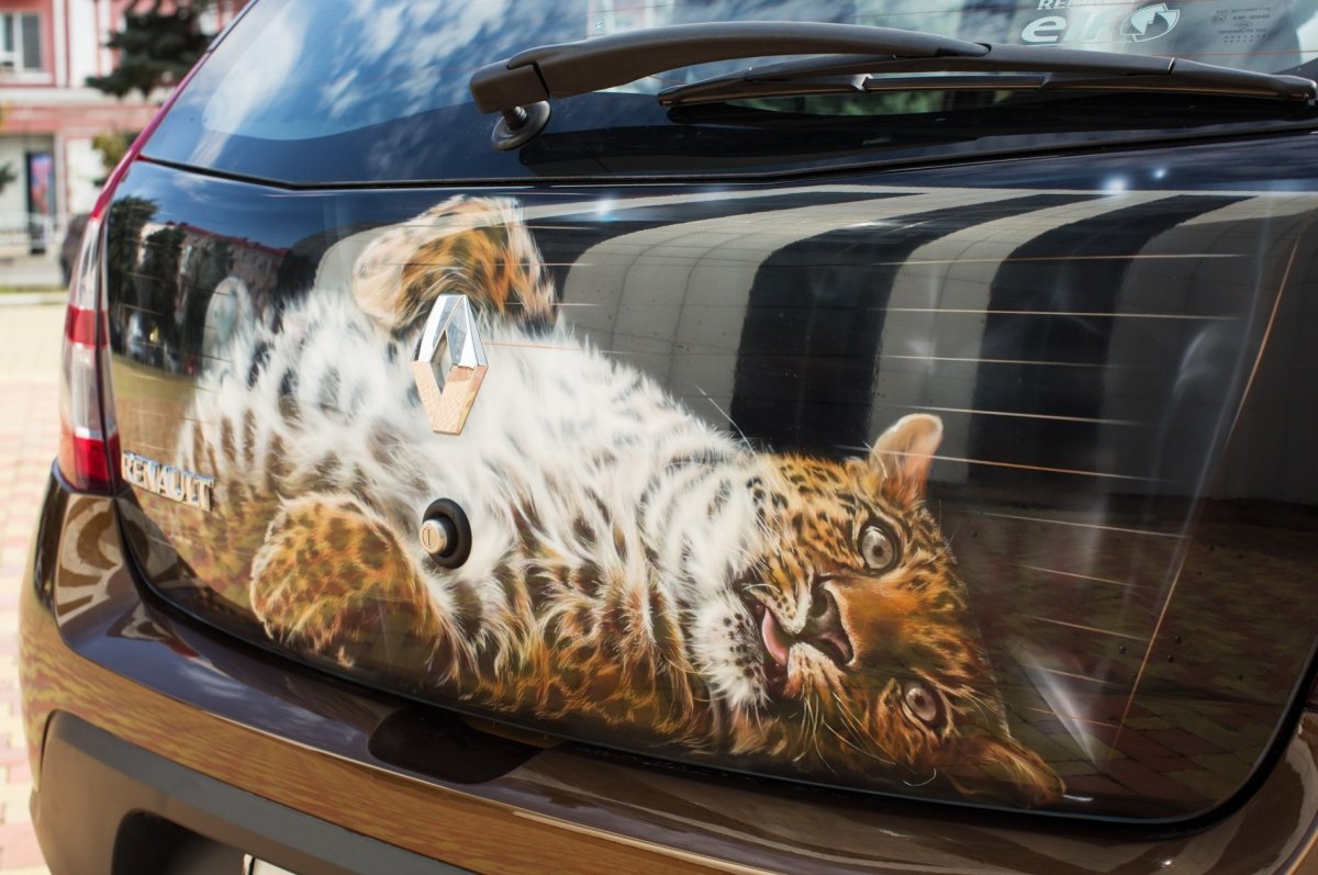 Аэрография на Рено Сандеро