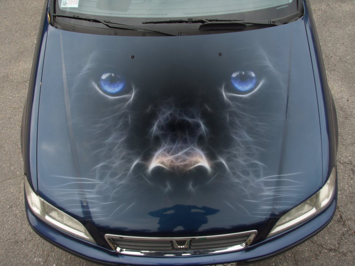 Винилография на авто