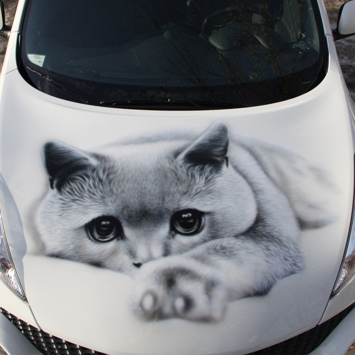 Аэрография на капоте авто