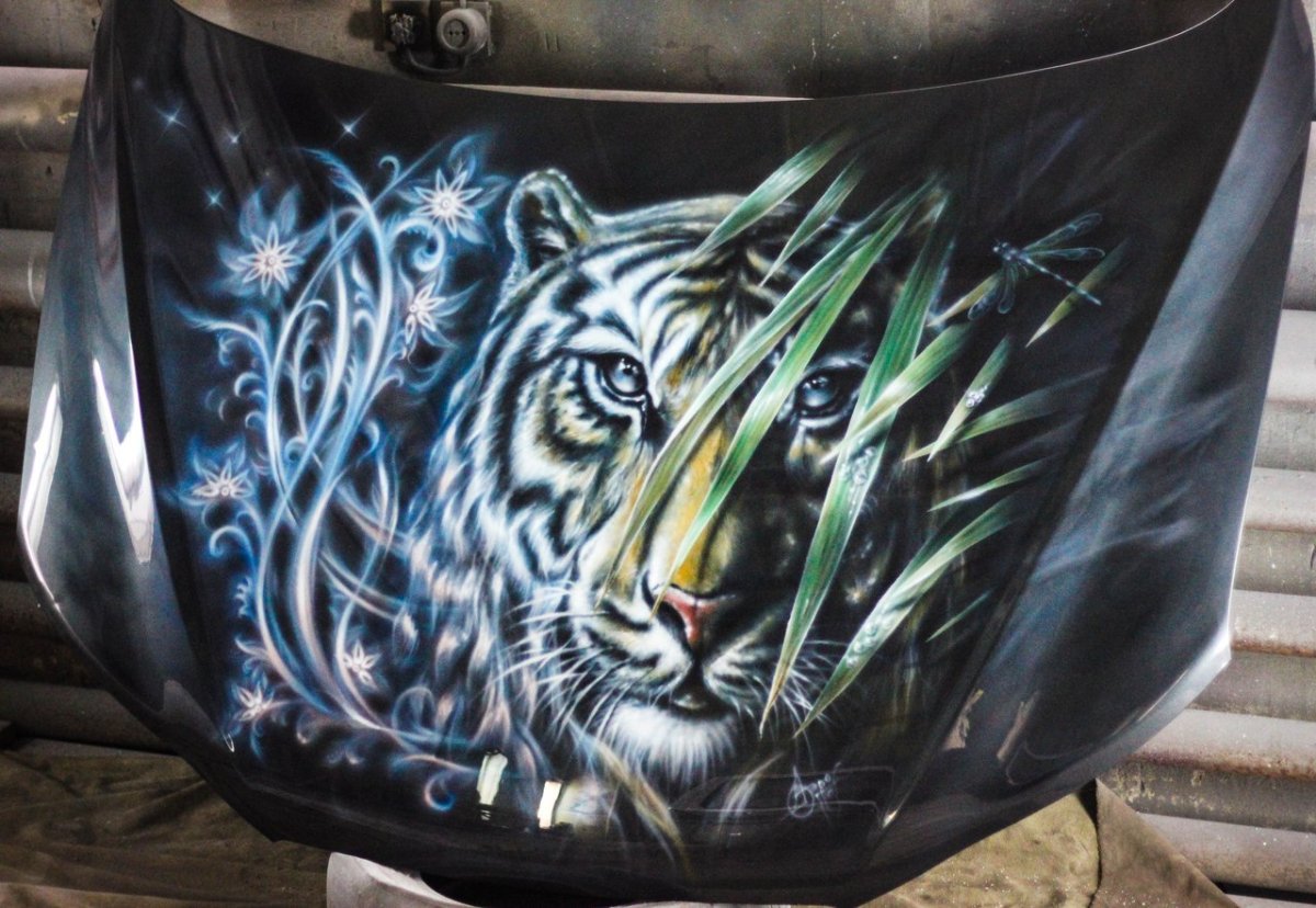 Hyundai Santa Fe 2005 аэрография