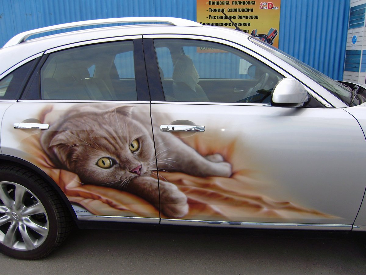 Необычная аэрография на авто