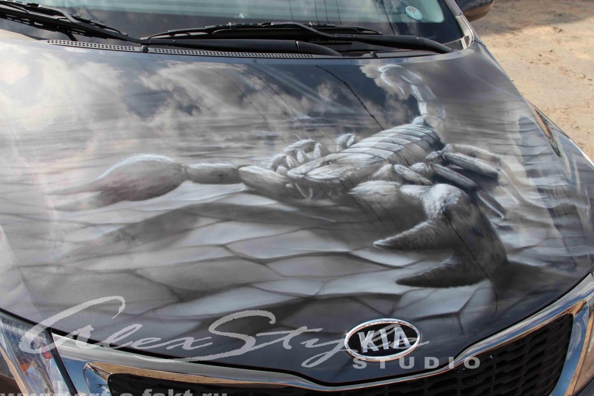 Винилография на капот Рио 3