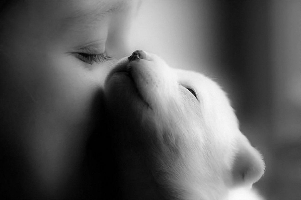 Нежность скучаю