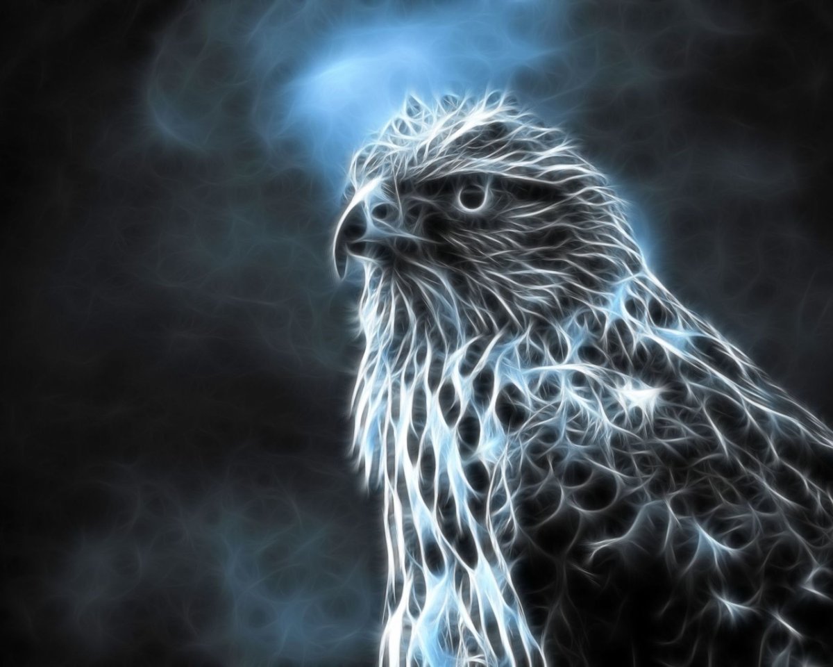 Сокол анимация