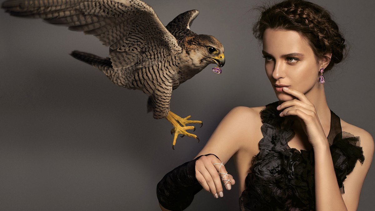 Соколиная перчатка