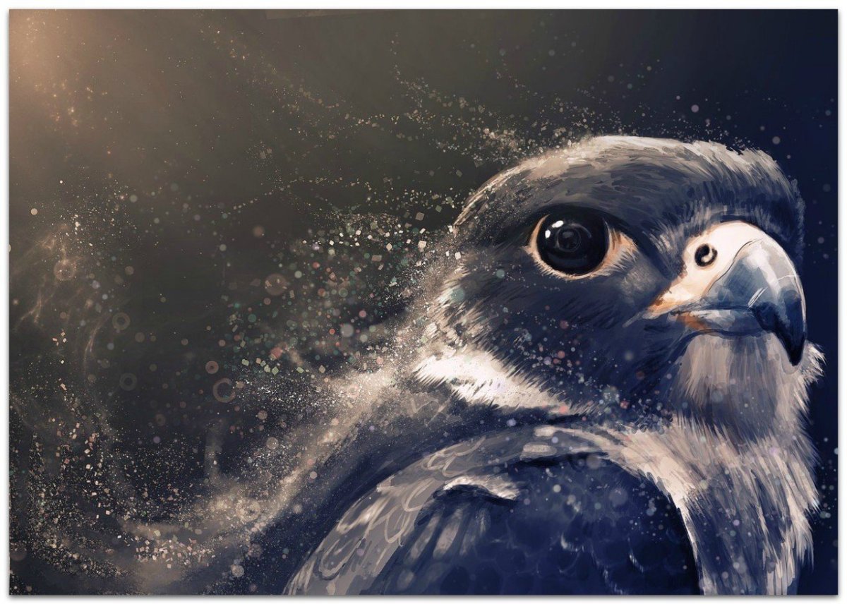 Девушка с соколом