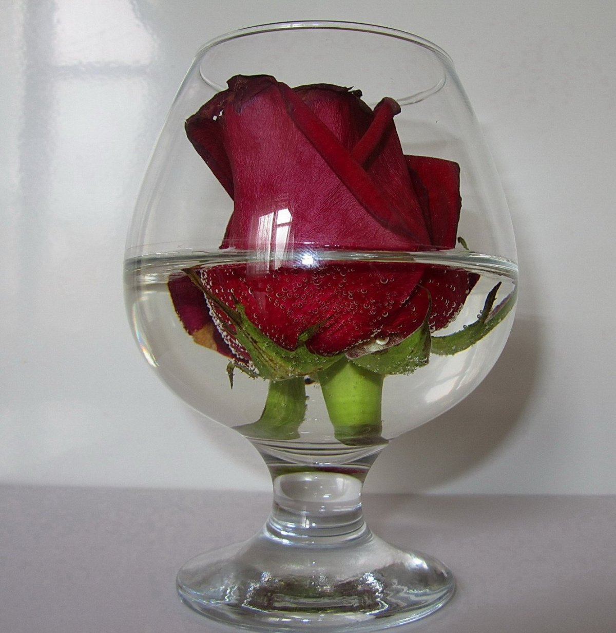 Цветы в рюмке