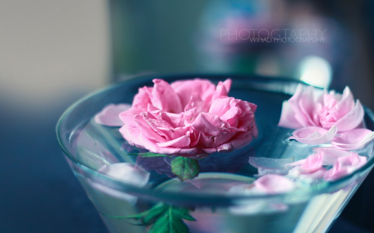 Цветы в стакане