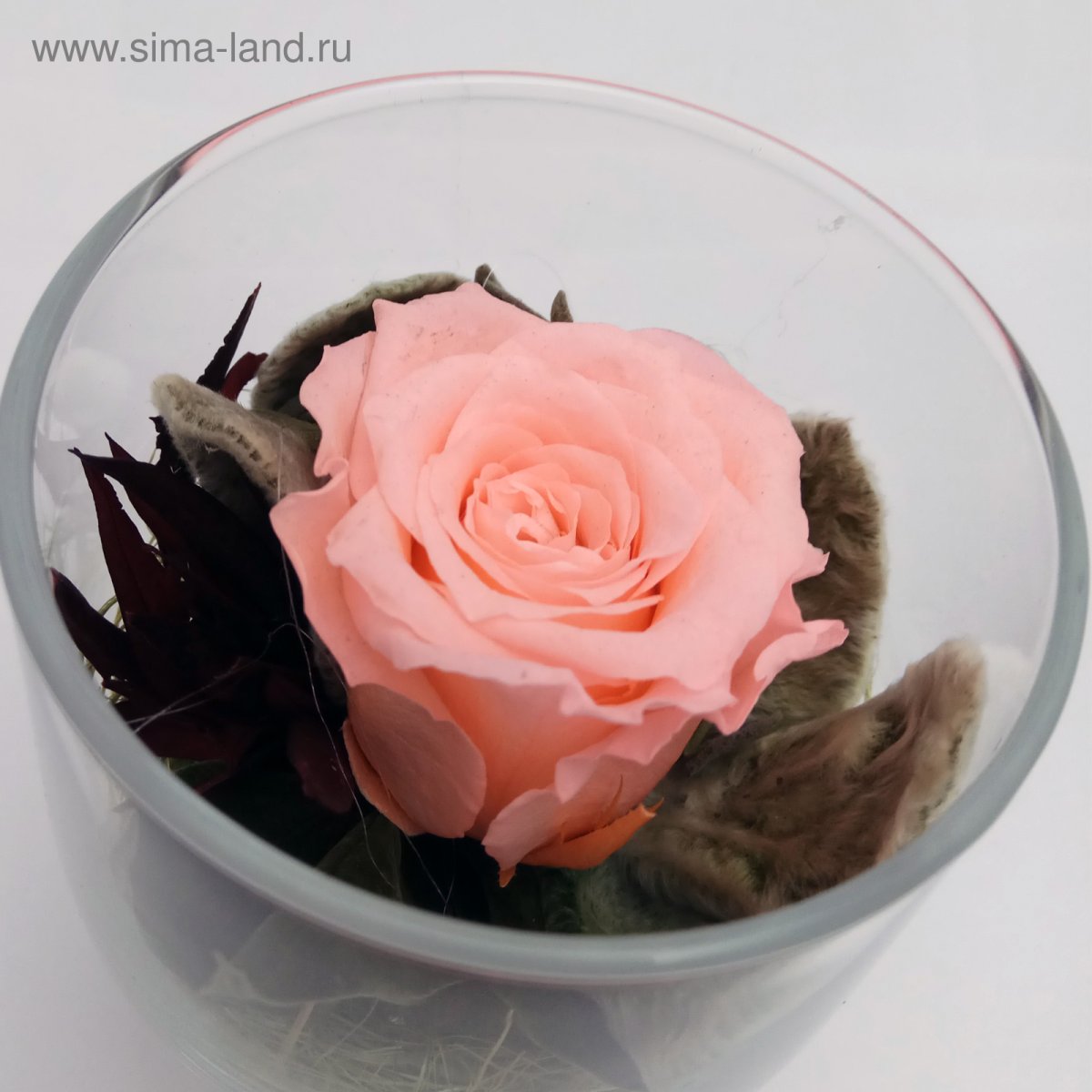 Композиция в стаканчике с розами