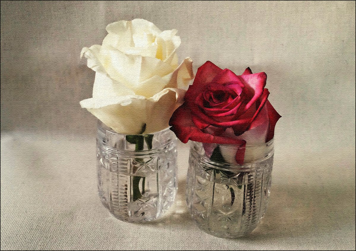 Белая роза в стакане