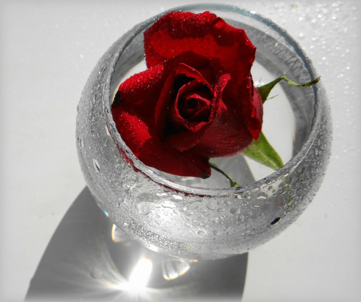 Цветы в стакане