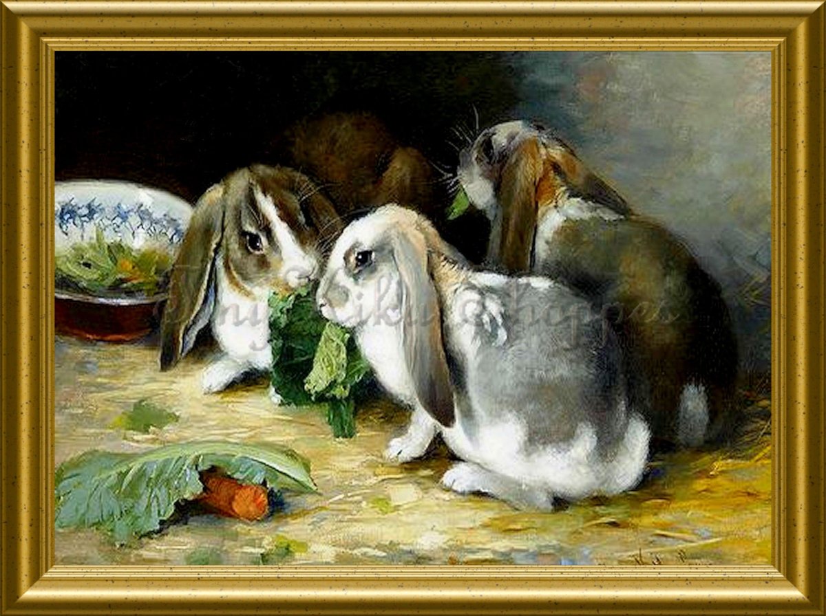 Вислоухий кролик арт