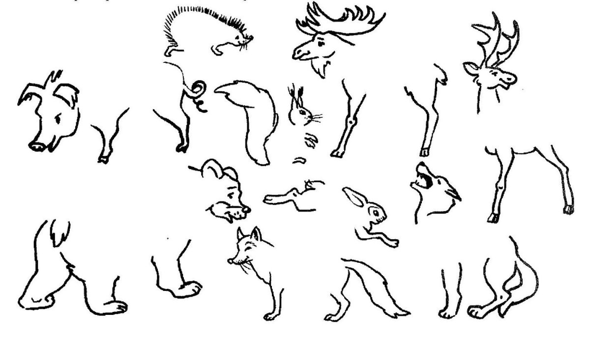 Чей хвост чья голова домашние животные