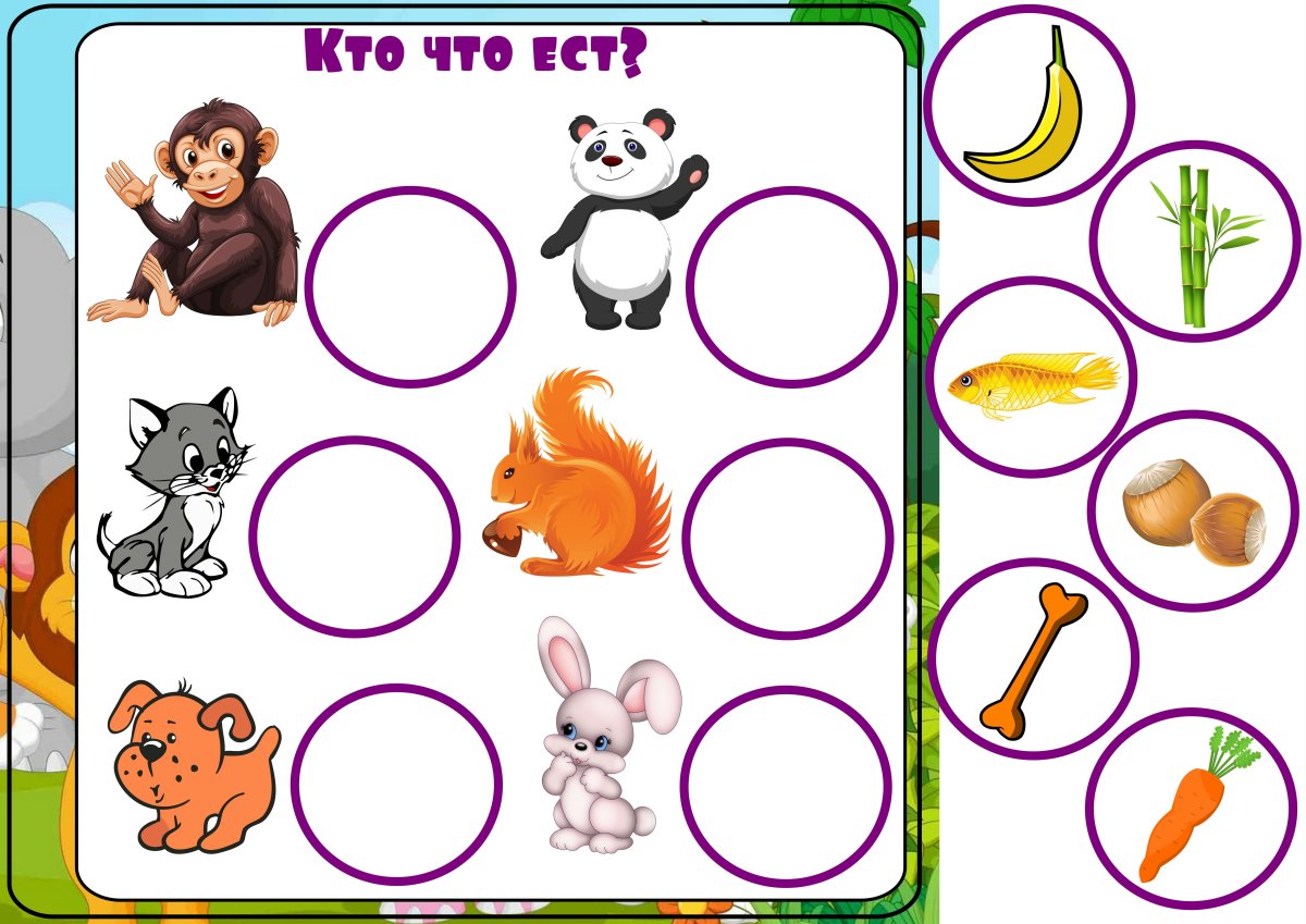 Задания чей хвост для дошкольников