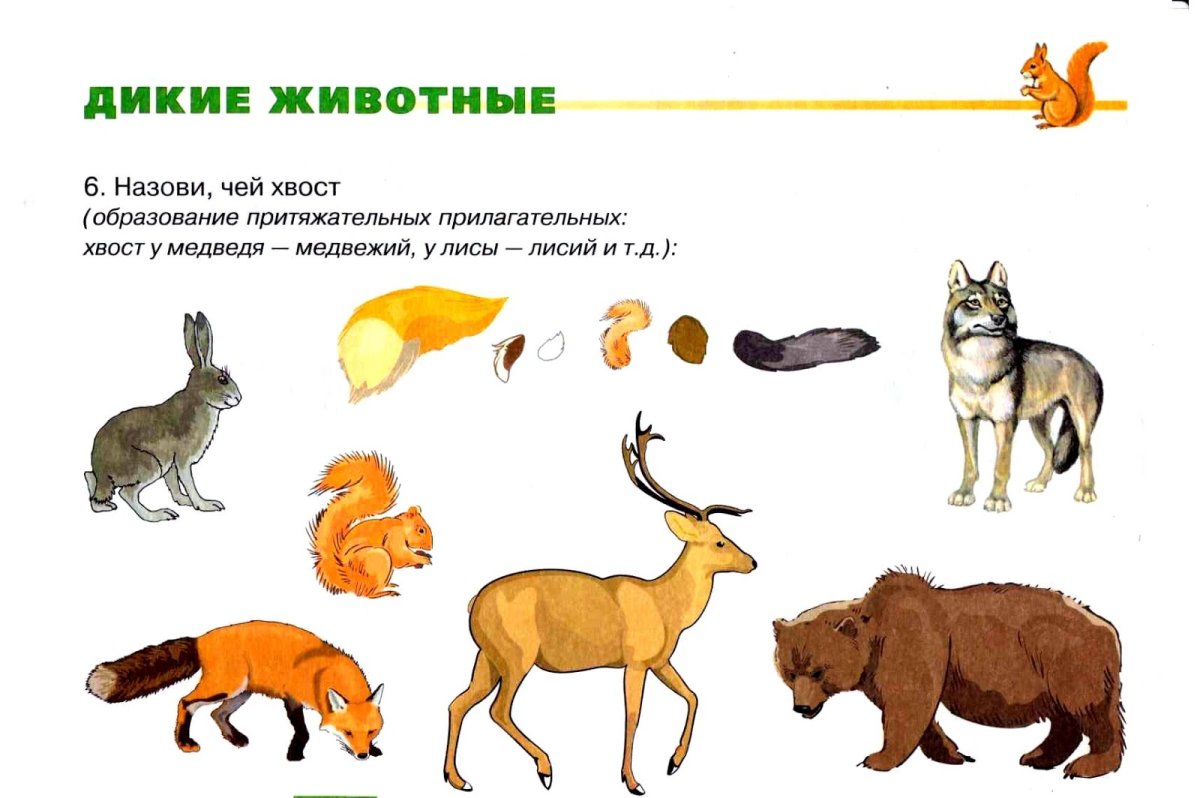 Игра кто что ест домашних животных для дошкольников