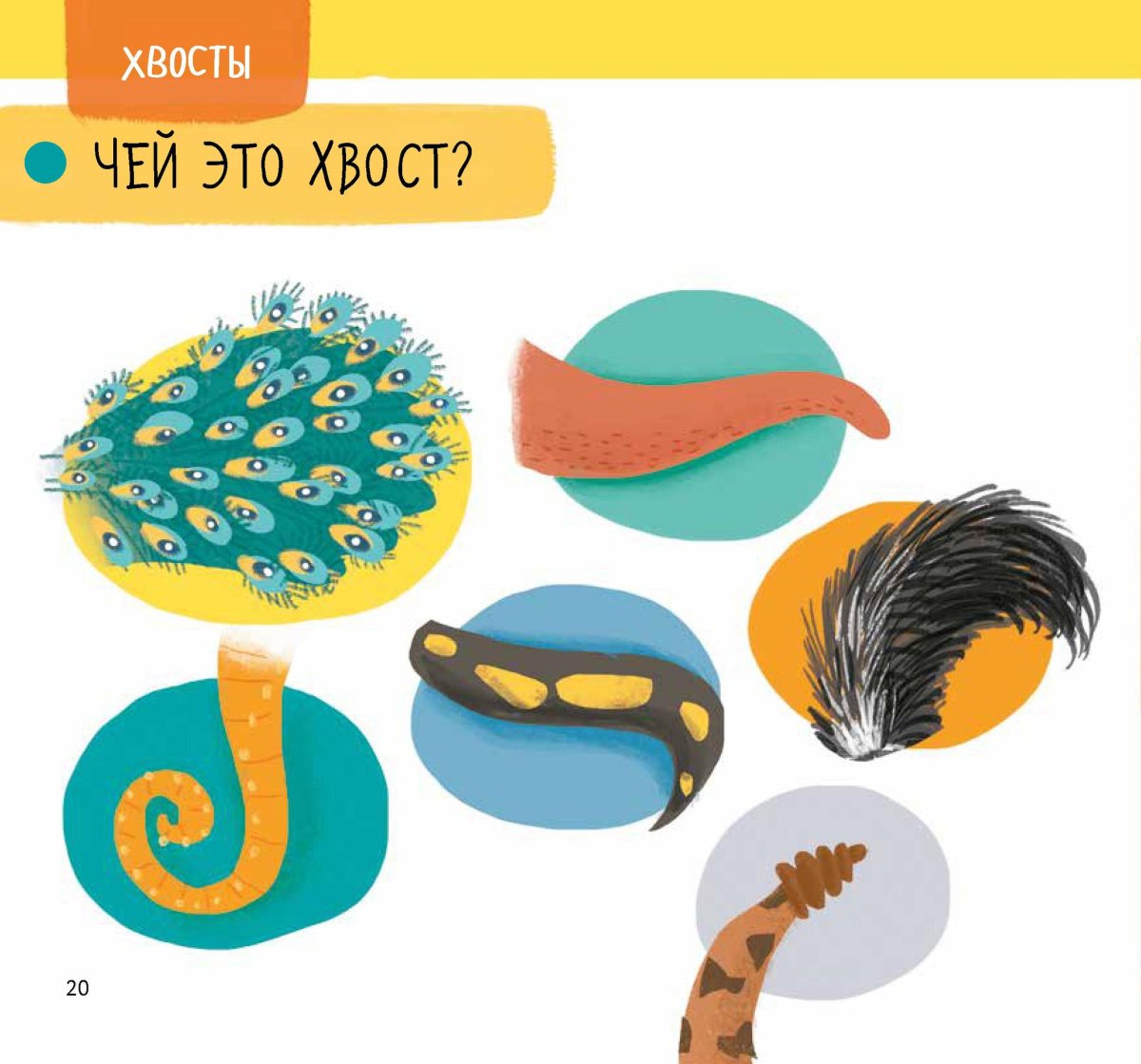 Чей это нос? Чей это хвост?