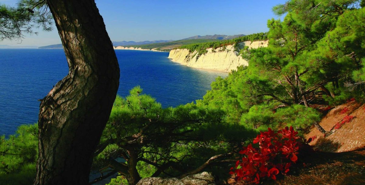 Черное море Геленджик