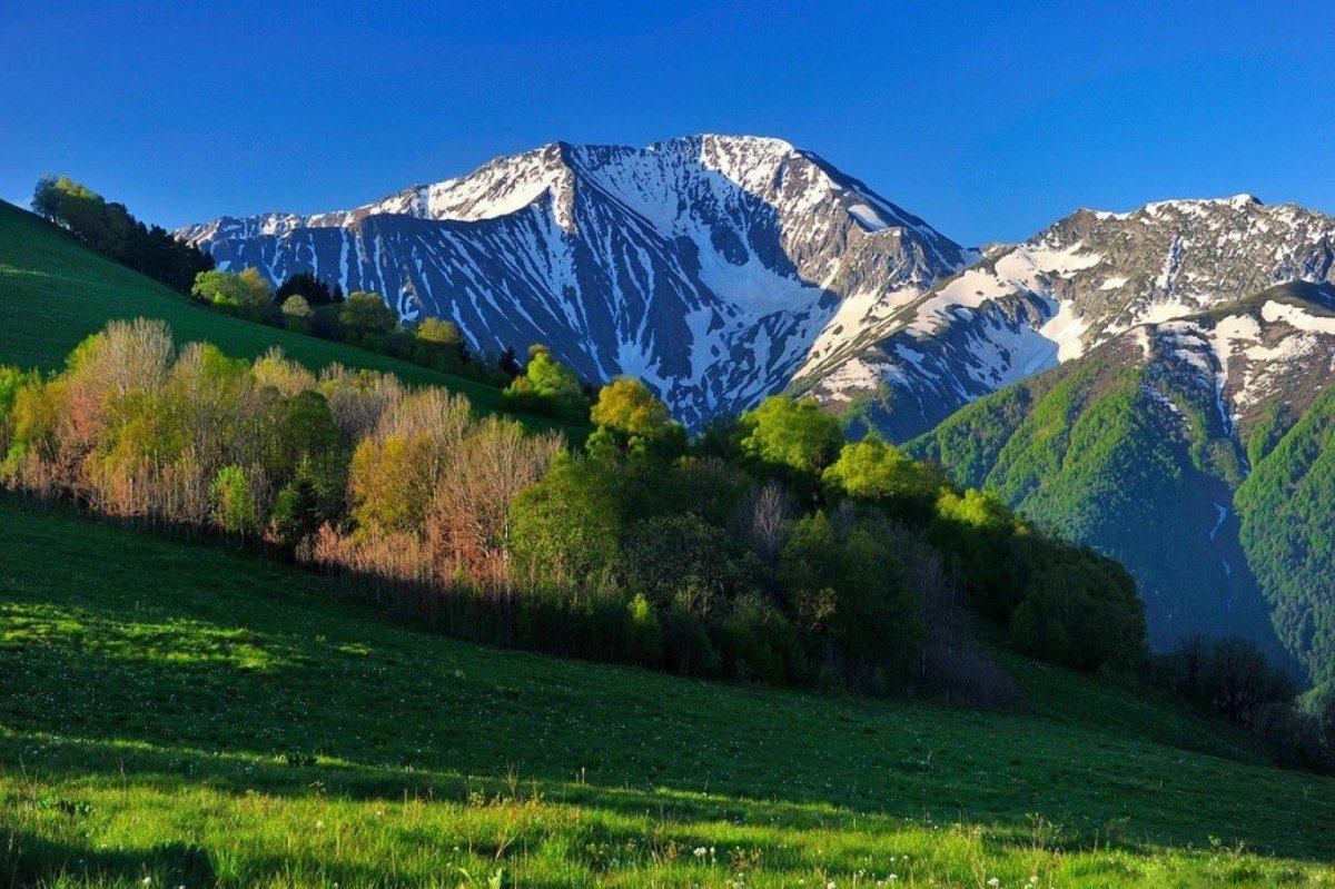 Кавказский национальный заповедник в Адыгее