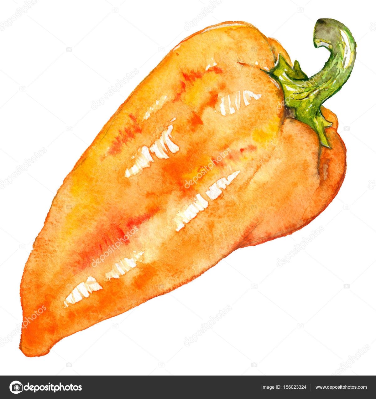 Сладкий перец акварель